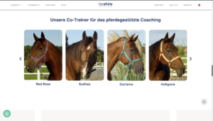 Изработка на уебсайт и реклама за конна база